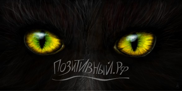 Граффити взгляд глаза кошка животное чёрный