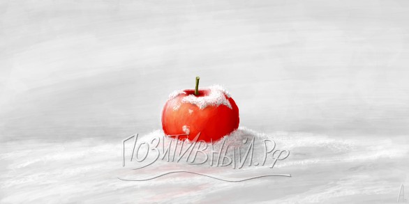Яблоко на снегу